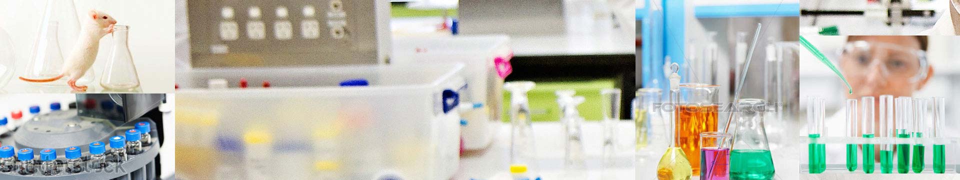 LabDiet Rodent Research Diets